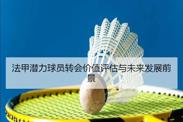 法甲潜力球员转会价值评估与未来发展前景