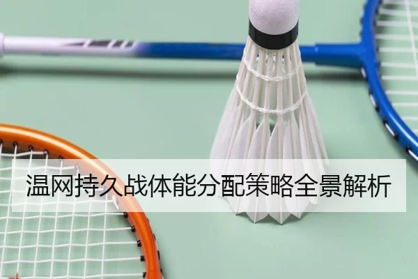 温网持久战体能分配策略全景解析
